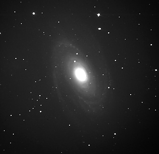 M 81